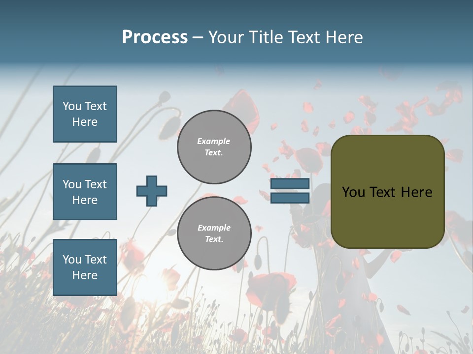 Girl Stands In Poppy Field PowerPoint Template