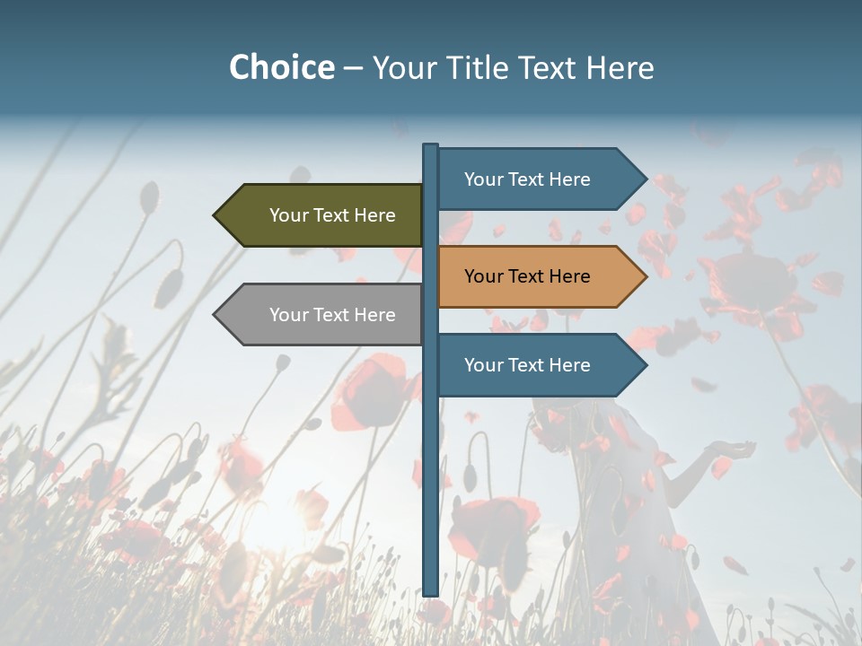 Girl Stands In Poppy Field PowerPoint Template