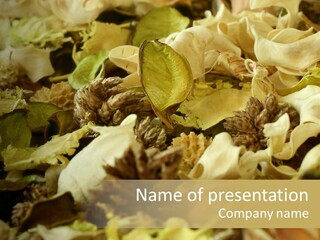 A Pile Of Leaves And Flowers With A Name Of Presentation PowerPoint Template