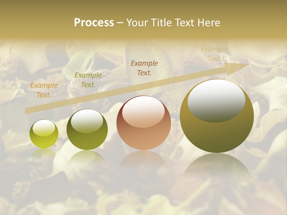 A Pile Of Leaves And Flowers With A Name Of Presentation PowerPoint Template