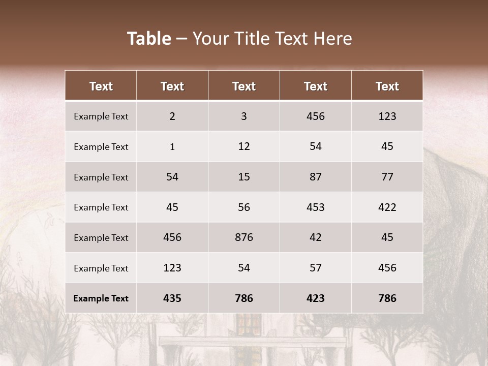 Bride And Groom With Denver Lds Temple PowerPoint Template