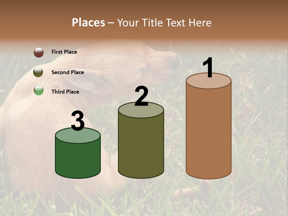 Puppy Scratching PowerPoint Template