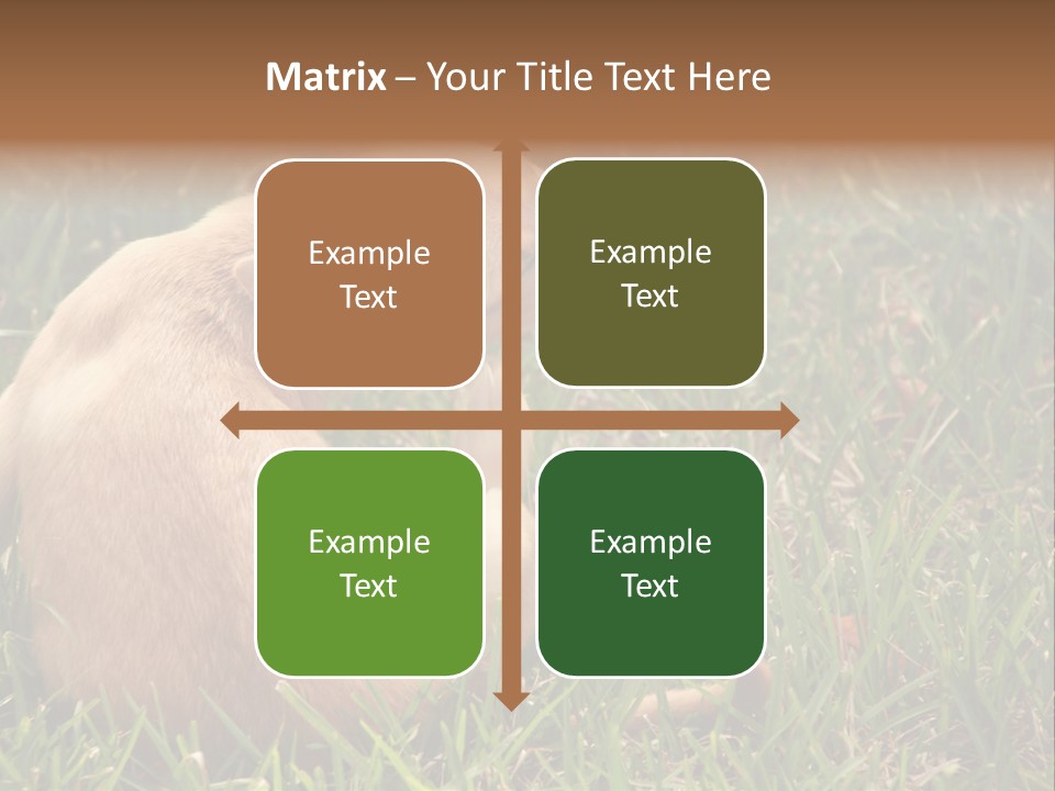 Puppy Scratching PowerPoint Template