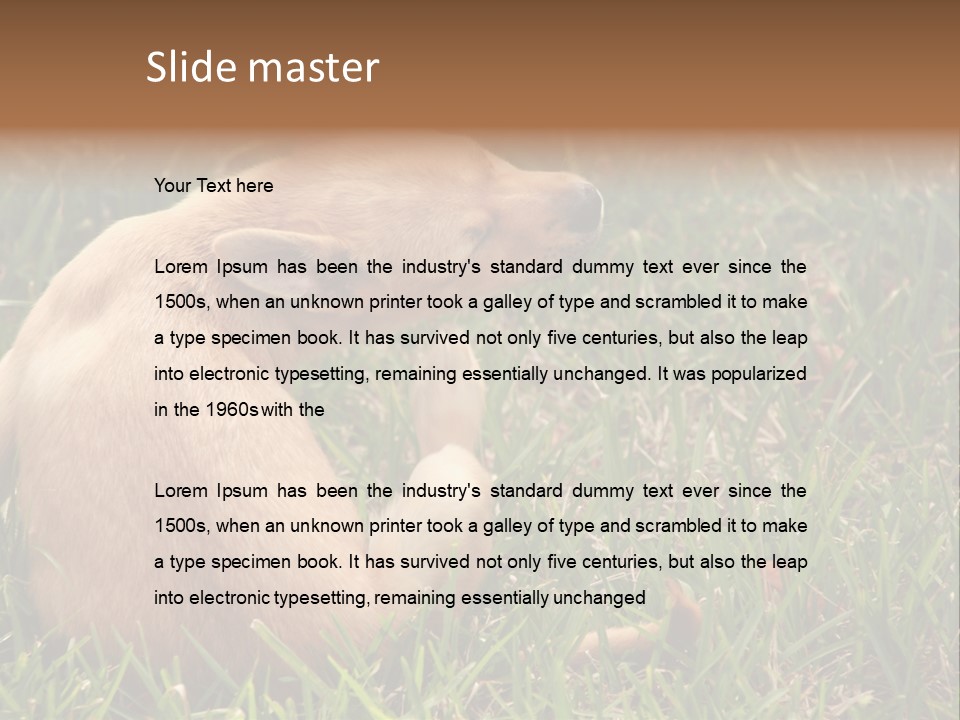 Puppy Scratching PowerPoint Template