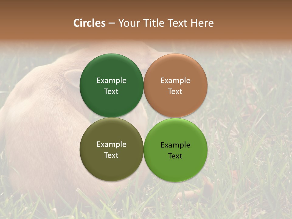 Puppy Scratching PowerPoint Template