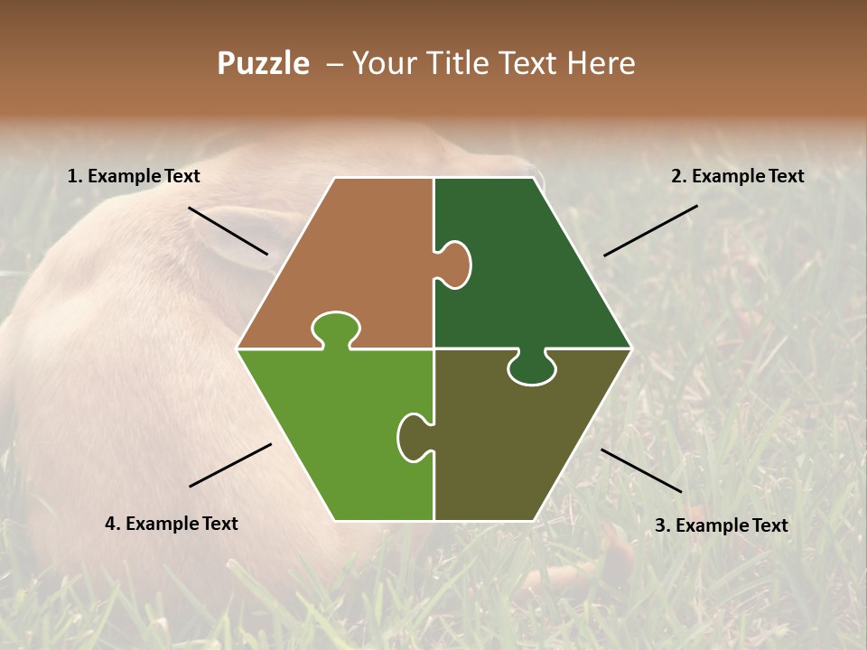 Puppy Scratching PowerPoint Template