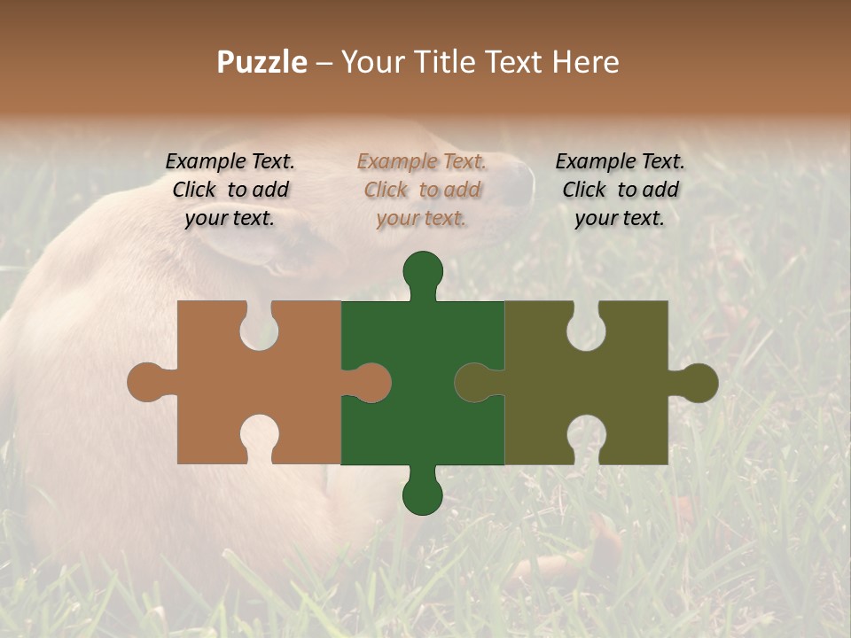 Puppy Scratching PowerPoint Template