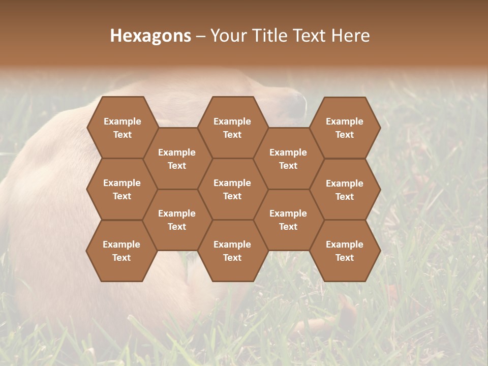 Puppy Scratching PowerPoint Template