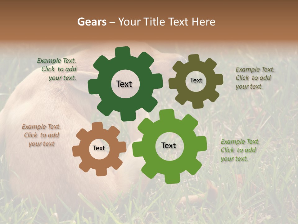 Puppy Scratching PowerPoint Template