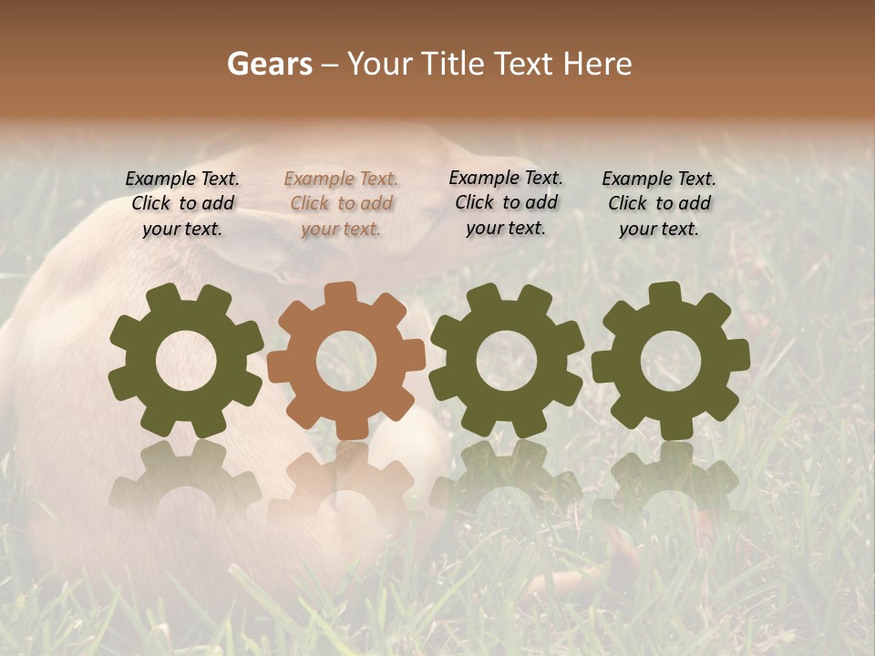 Puppy Scratching PowerPoint Template