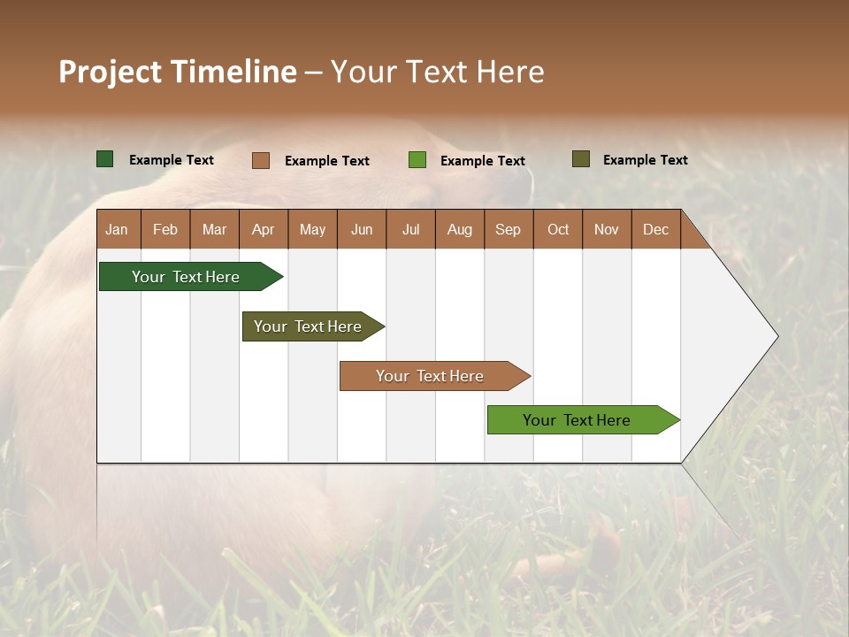 Puppy Scratching PowerPoint Template