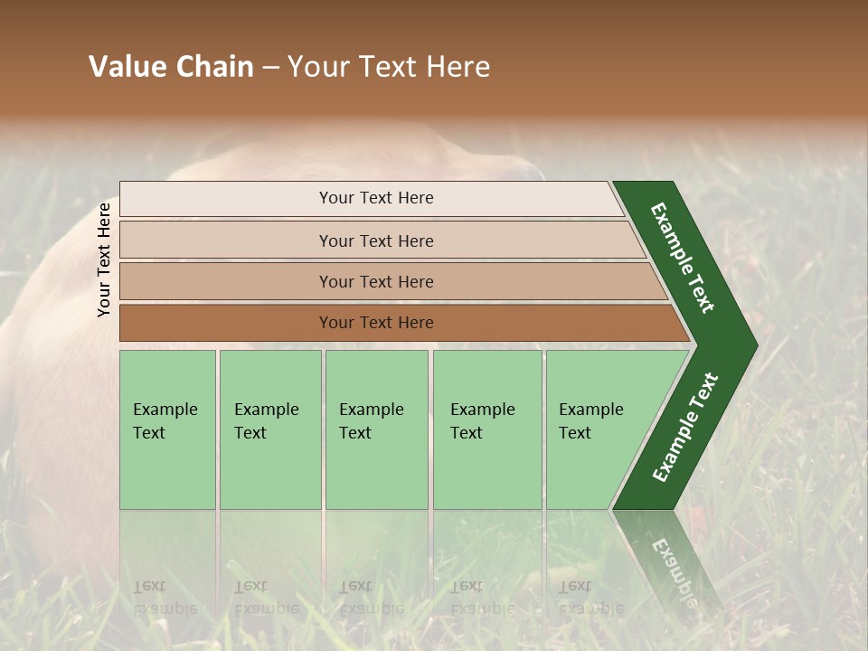 Puppy Scratching PowerPoint Template