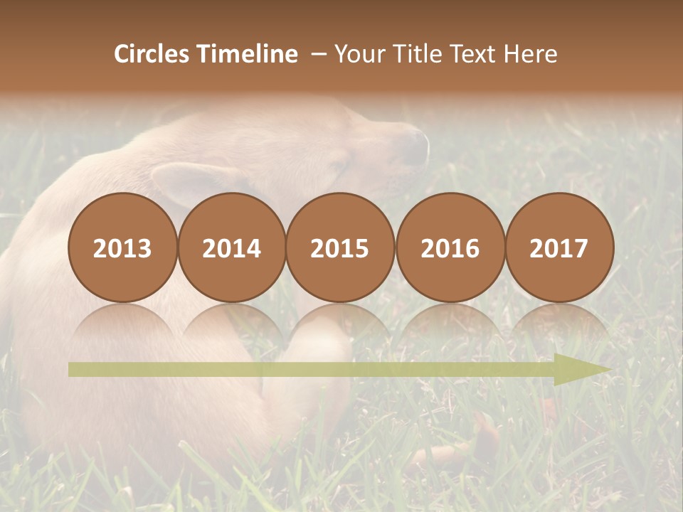 Puppy Scratching PowerPoint Template