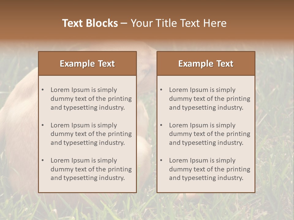 Puppy Scratching PowerPoint Template