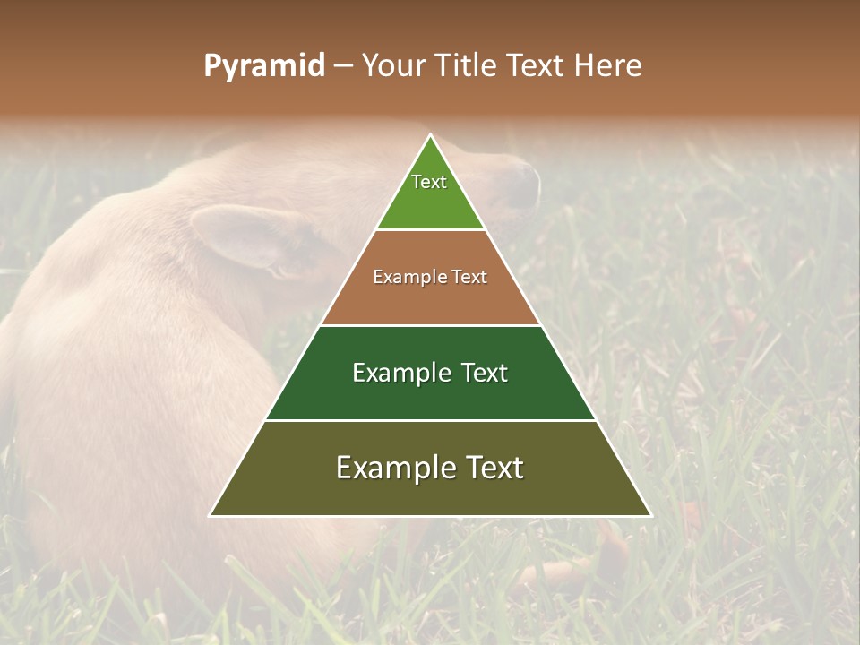 Puppy Scratching PowerPoint Template