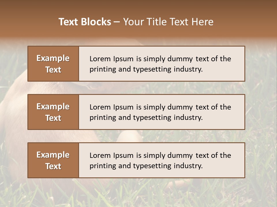 Puppy Scratching PowerPoint Template