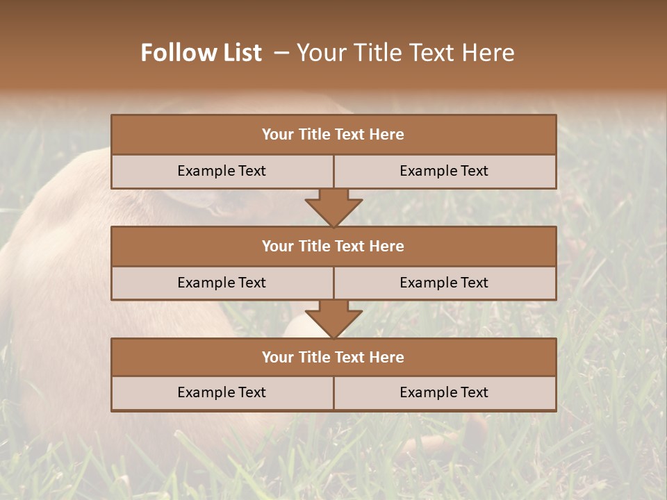 Puppy Scratching PowerPoint Template