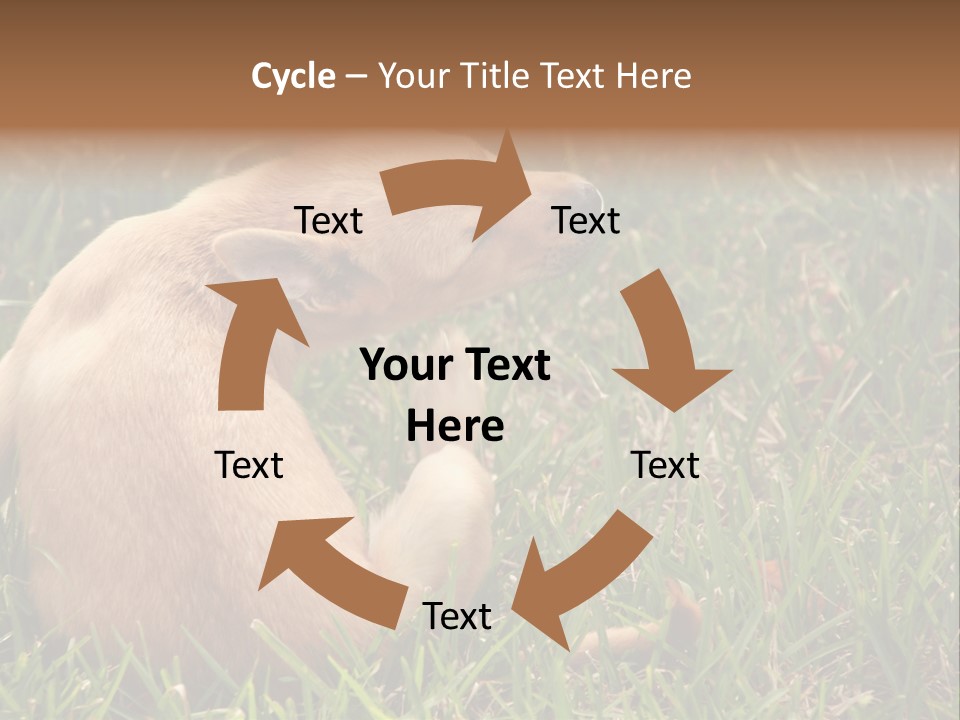 Puppy Scratching PowerPoint Template