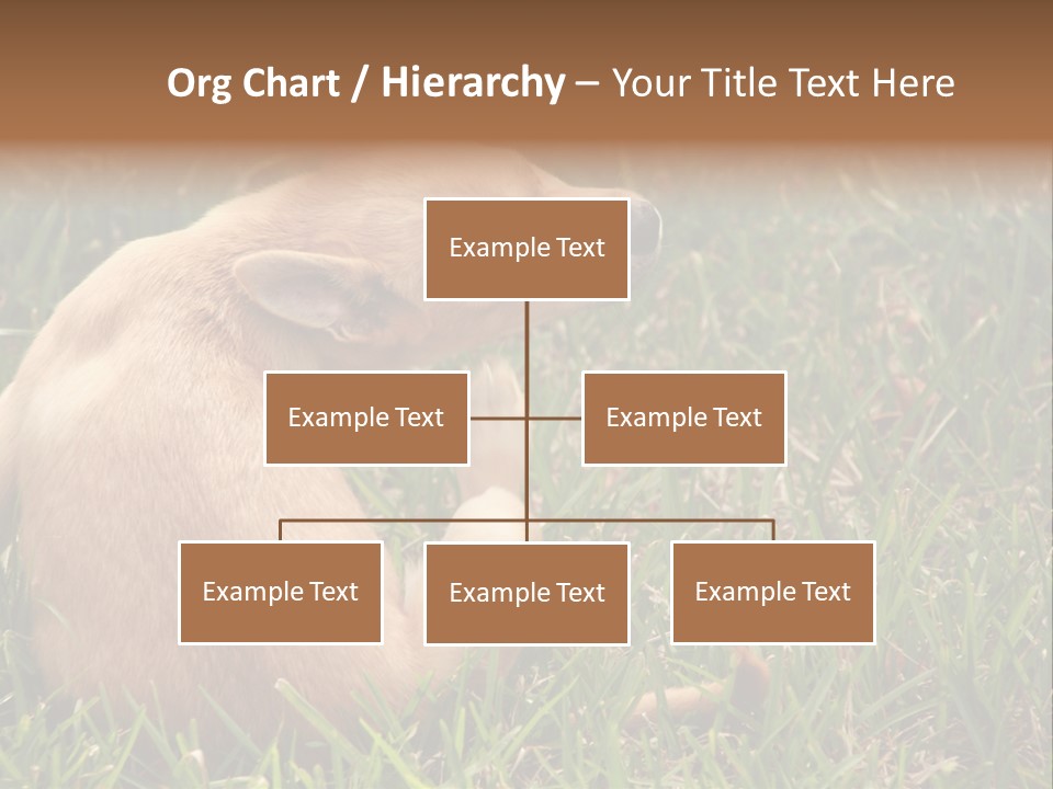 Puppy Scratching PowerPoint Template