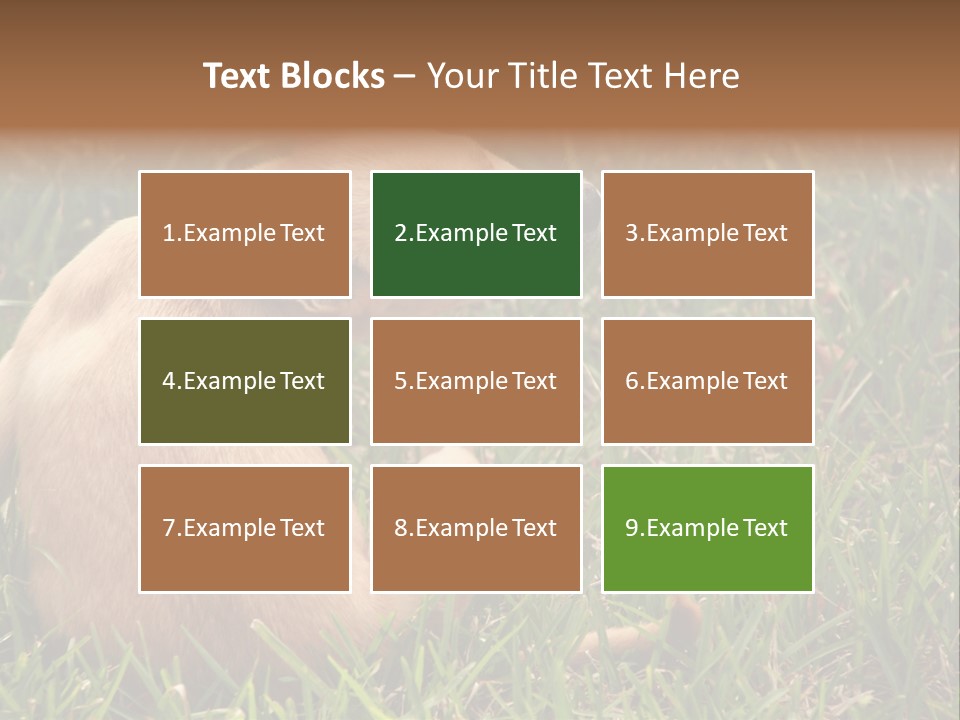 Puppy Scratching PowerPoint Template