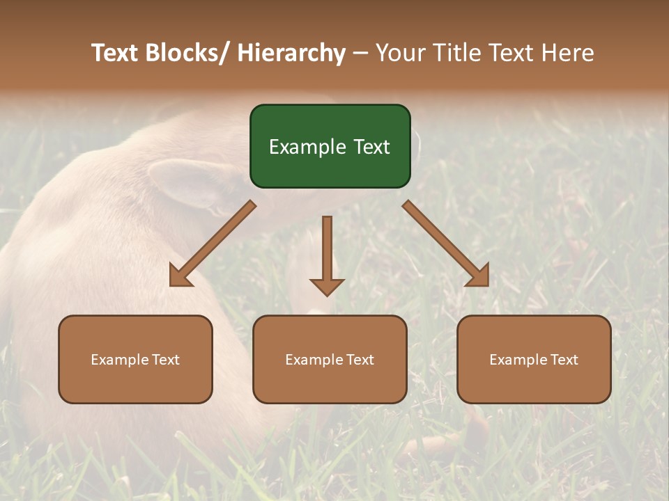 Puppy Scratching PowerPoint Template