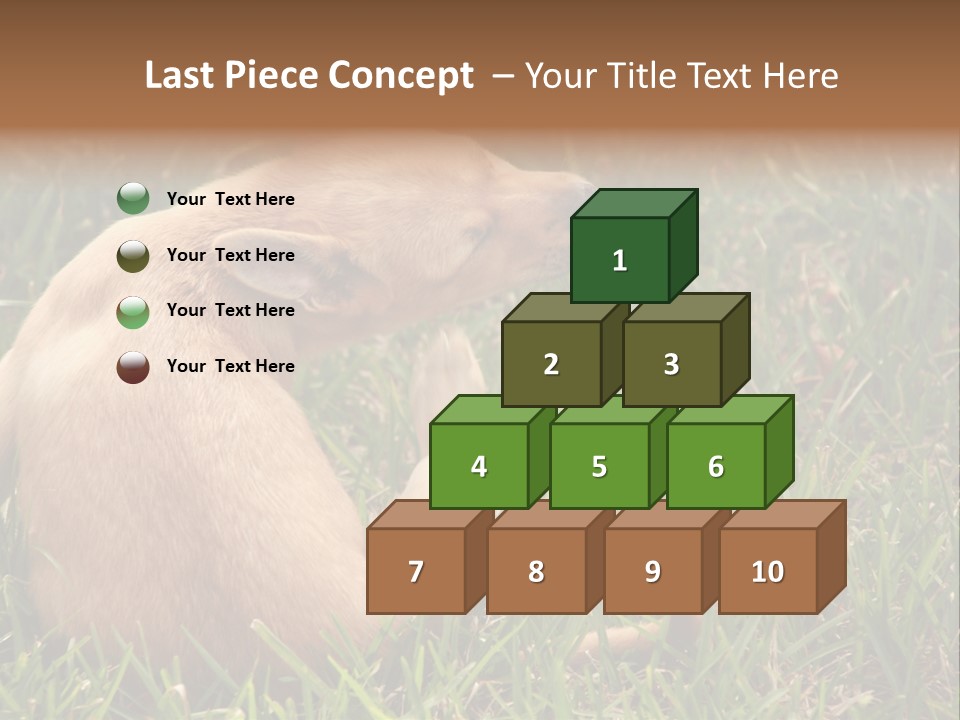 Puppy Scratching PowerPoint Template