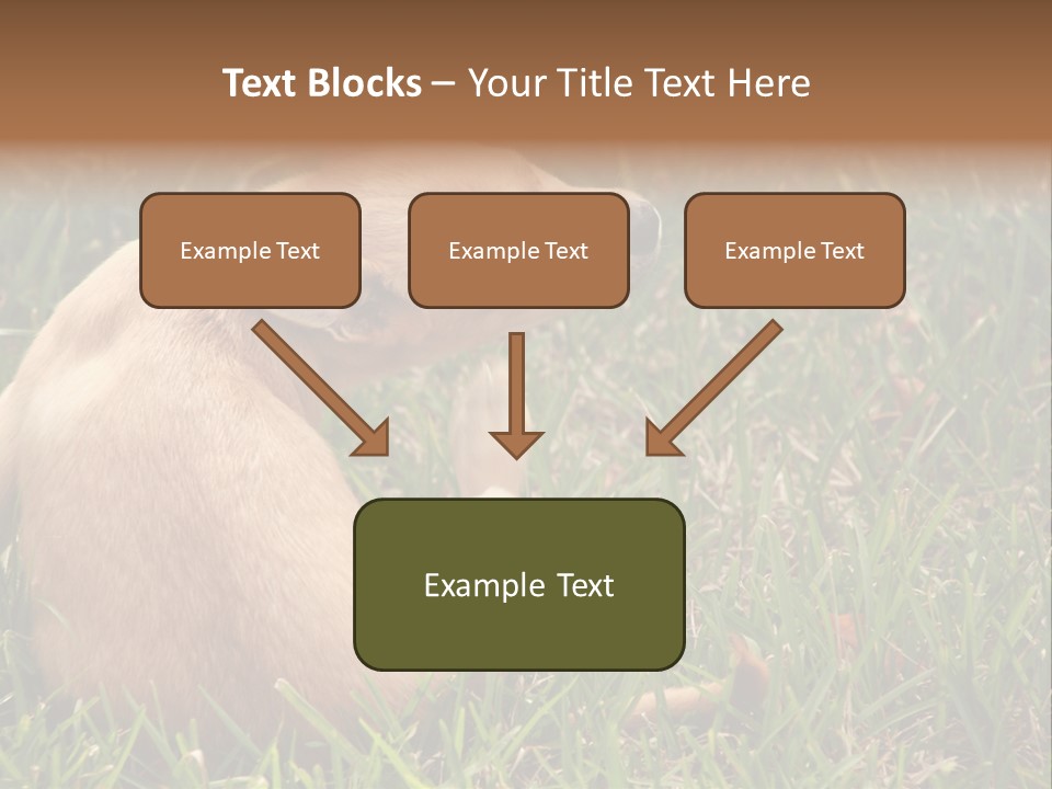Puppy Scratching PowerPoint Template