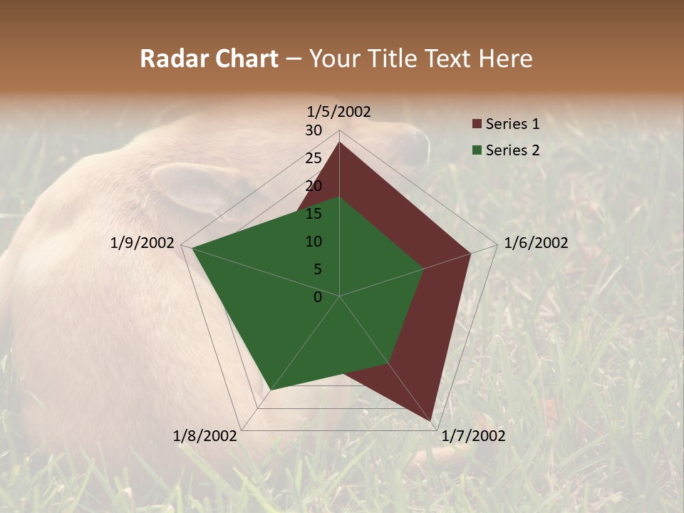 Puppy Scratching PowerPoint Template