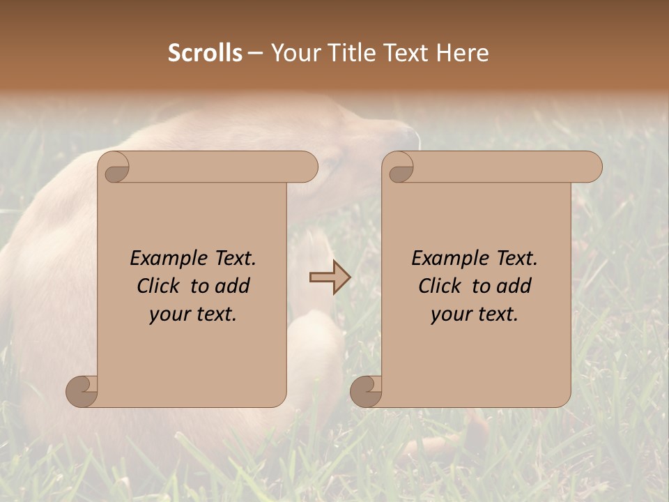 Puppy Scratching PowerPoint Template