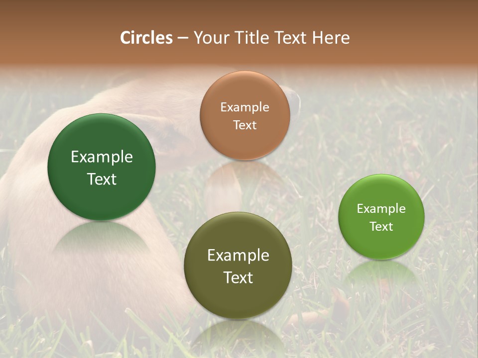 Puppy Scratching PowerPoint Template