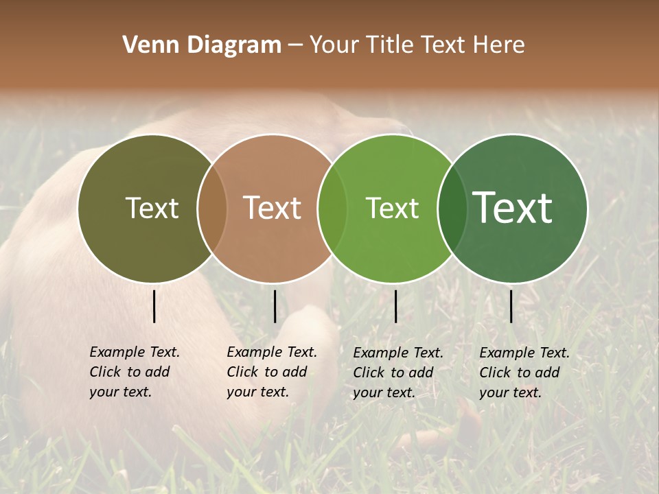 Puppy Scratching PowerPoint Template