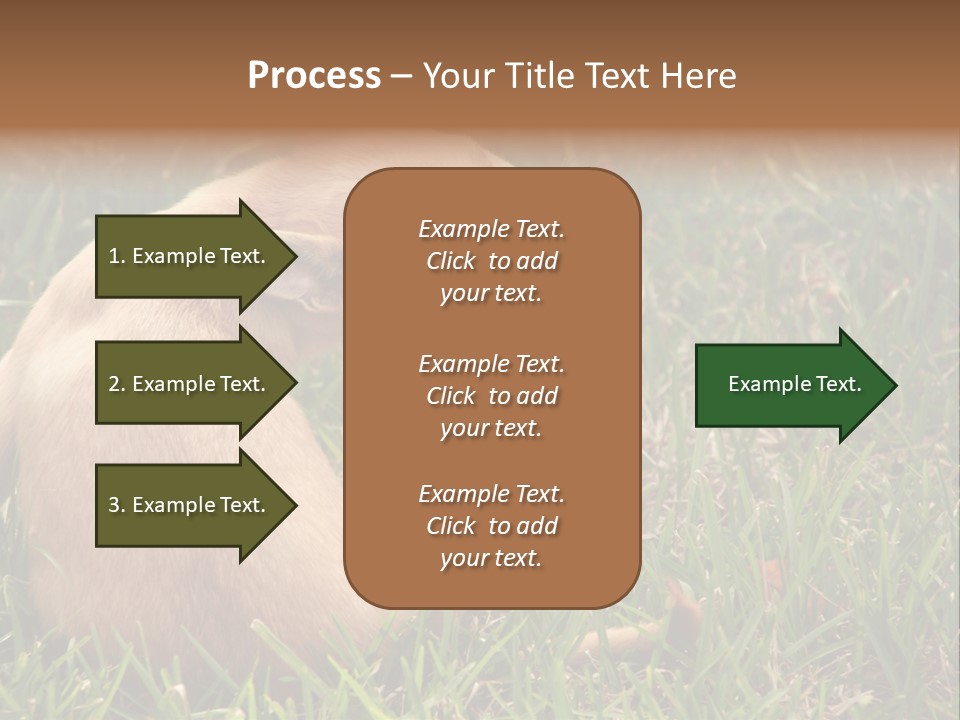 Puppy Scratching PowerPoint Template