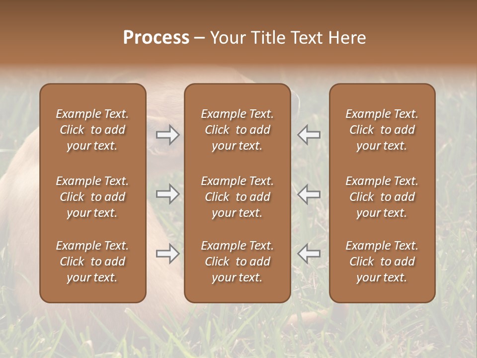 Puppy Scratching PowerPoint Template