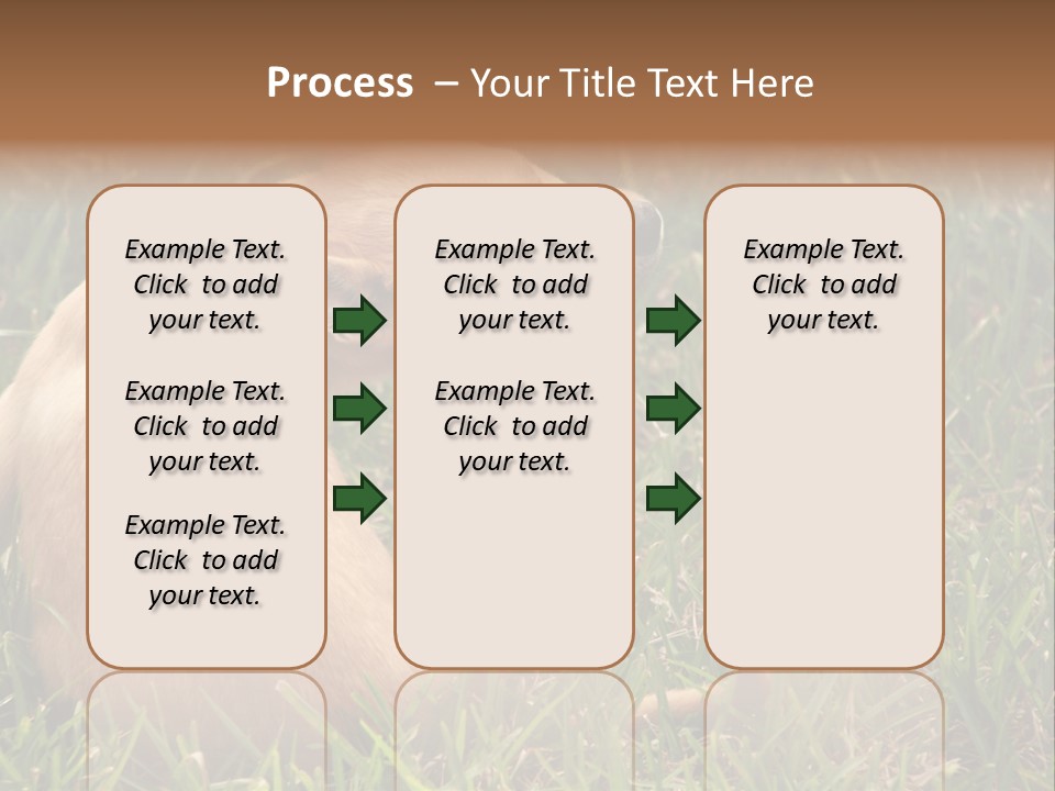 Puppy Scratching PowerPoint Template