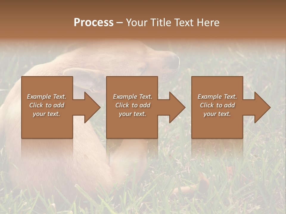 Puppy Scratching PowerPoint Template