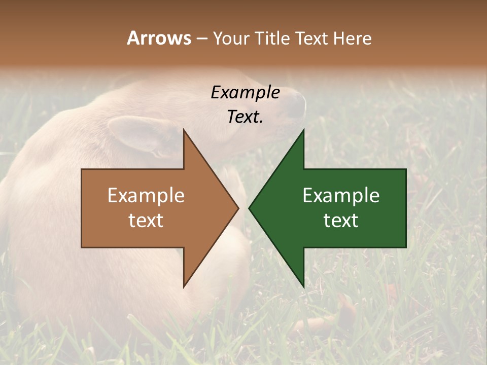 Puppy Scratching PowerPoint Template