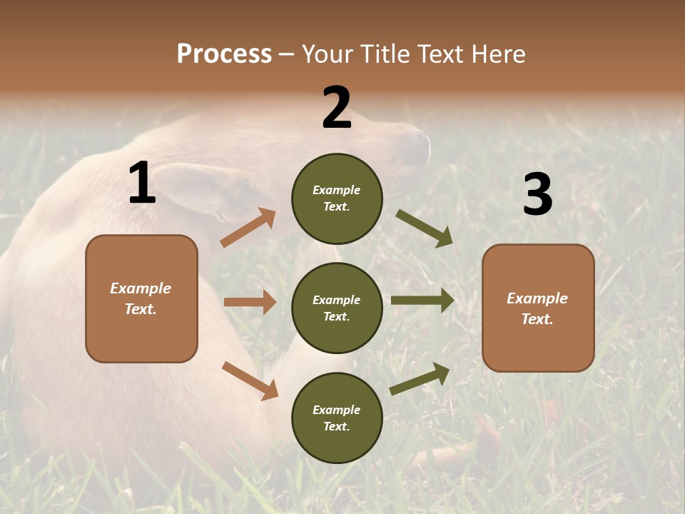 Puppy Scratching PowerPoint Template