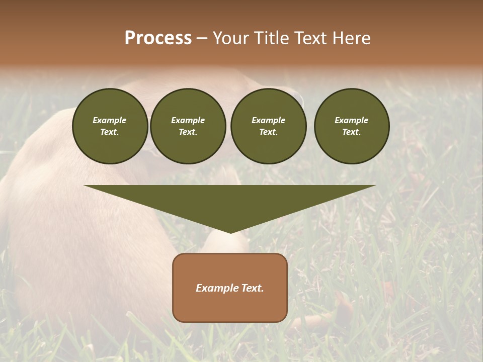 Puppy Scratching PowerPoint Template