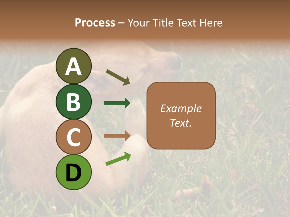 Puppy Scratching PowerPoint Template