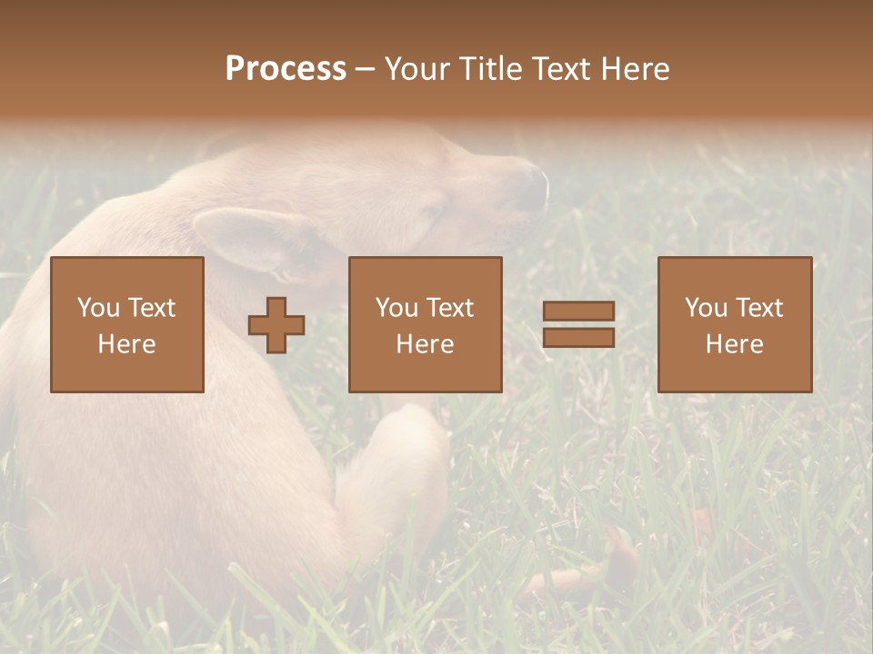 Puppy Scratching PowerPoint Template
