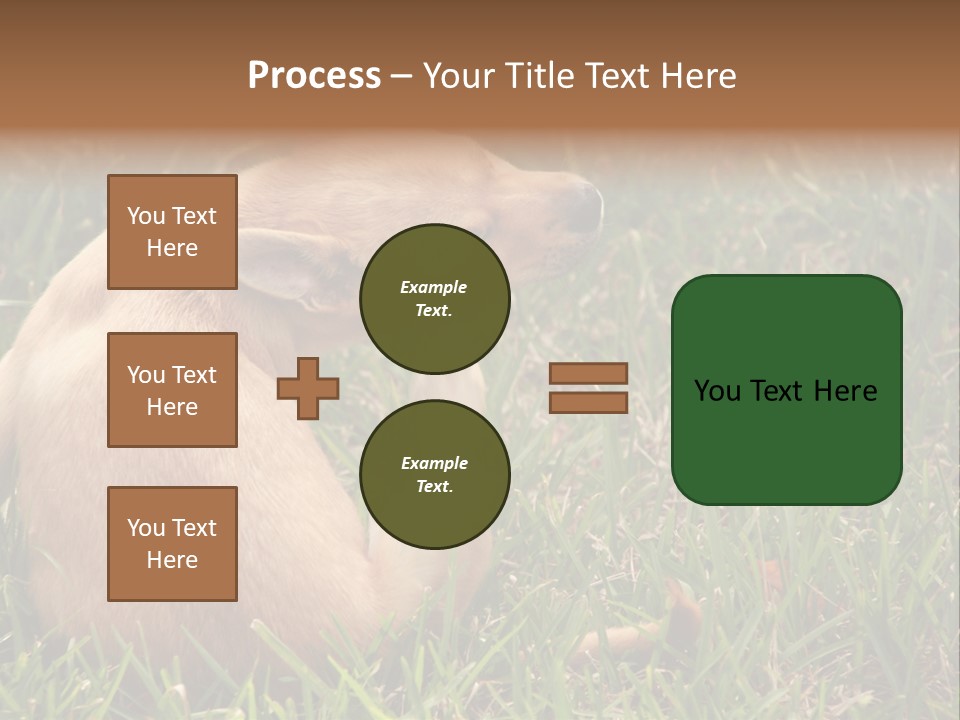 Puppy Scratching PowerPoint Template