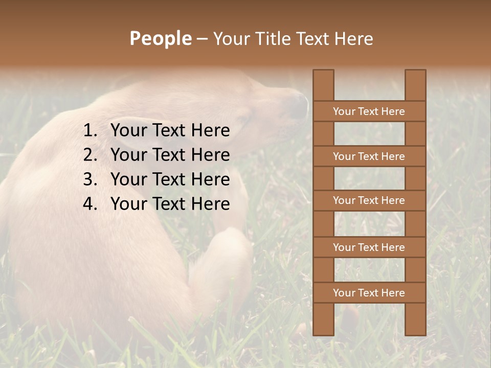 Puppy Scratching PowerPoint Template