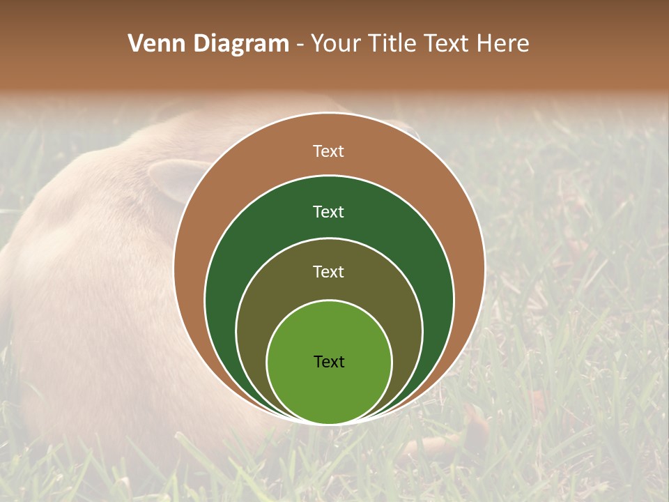 Puppy Scratching PowerPoint Template