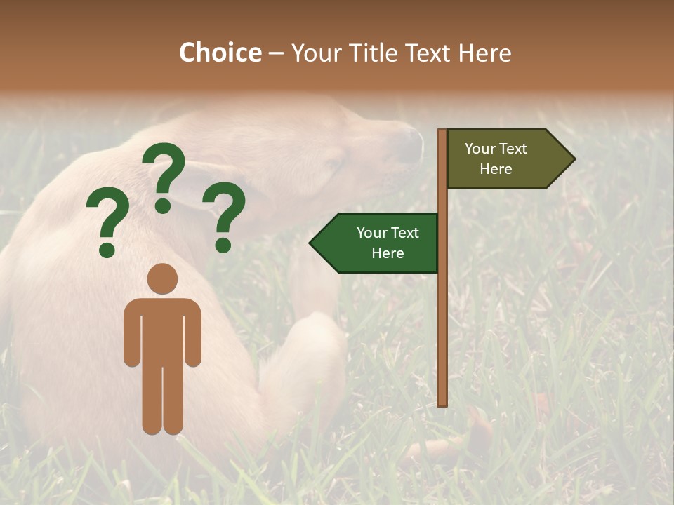 Puppy Scratching PowerPoint Template