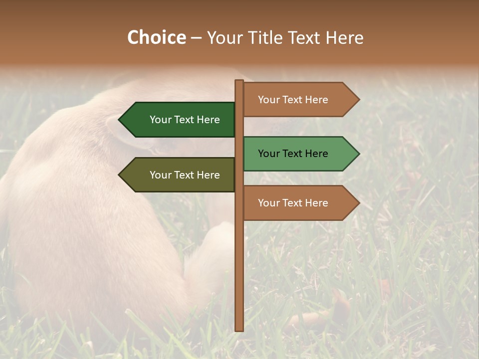 Puppy Scratching PowerPoint Template