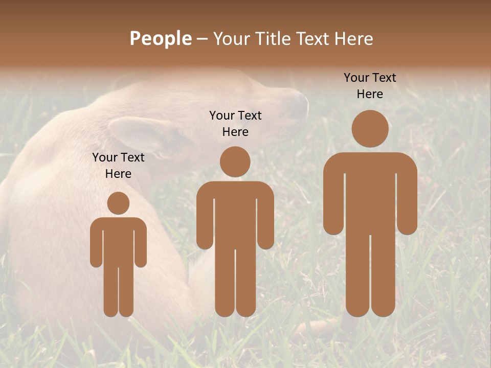 Puppy Scratching PowerPoint Template