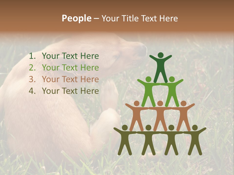 Puppy Scratching PowerPoint Template