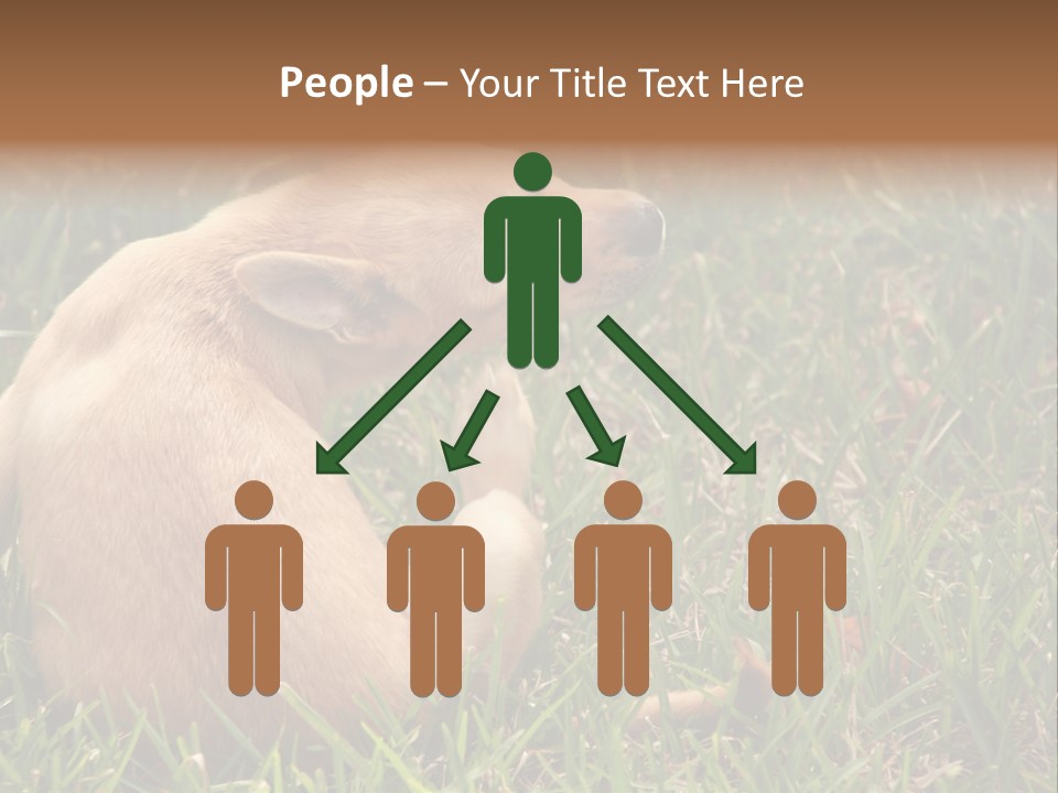 Puppy Scratching PowerPoint Template