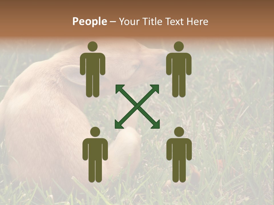 Puppy Scratching PowerPoint Template