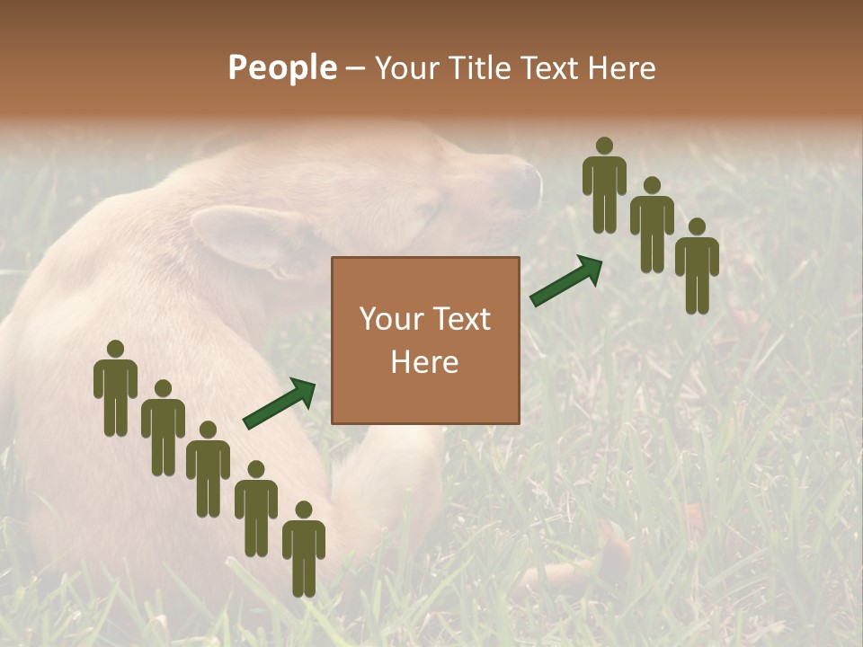 Puppy Scratching PowerPoint Template